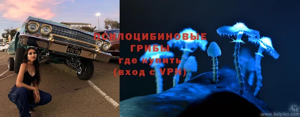 амф Горняк