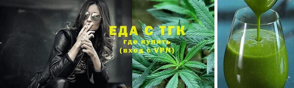 амф Горняк