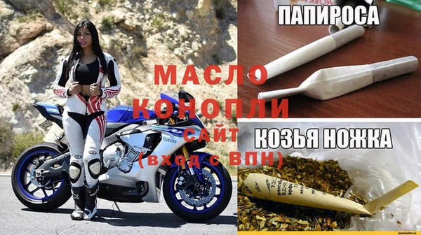 амф Горняк