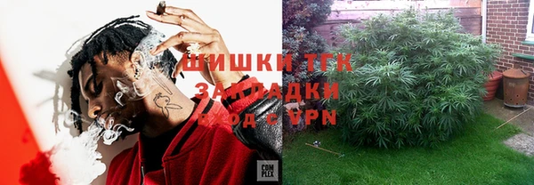 амф Горняк