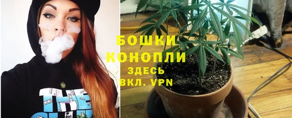 амф Горняк