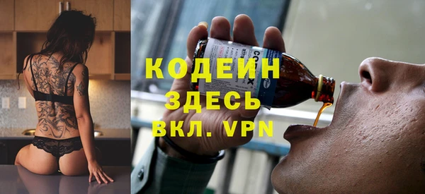 амф Горняк
