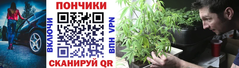Шишки марихуана Amnesia  Новосокольники 